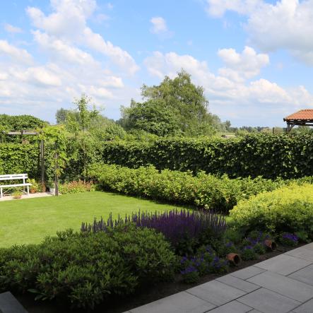 Kleurrijke tuin met Hedera hagen als tuinafscheiding